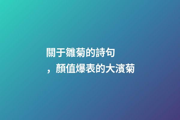 關于雛菊的詩句，顏值爆表的大濱菊-第1張-觀點-玄機派